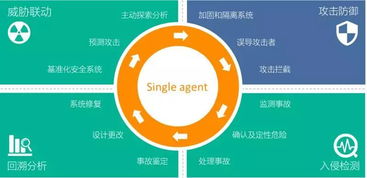 青藤獲2億元B輪融資，研發(fā)大腦扎根光谷加速網(wǎng)絡(luò)安全技術(shù)創(chuàng)新